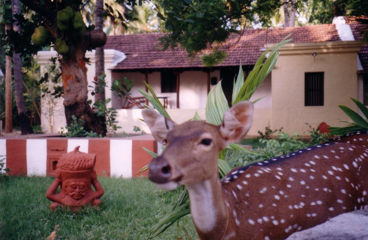 Indeco Hotels Swamimalai Kumbakonam Exterior photo